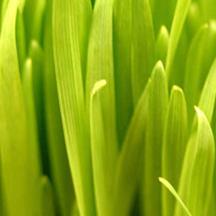 免费DDOS攻击测试工具